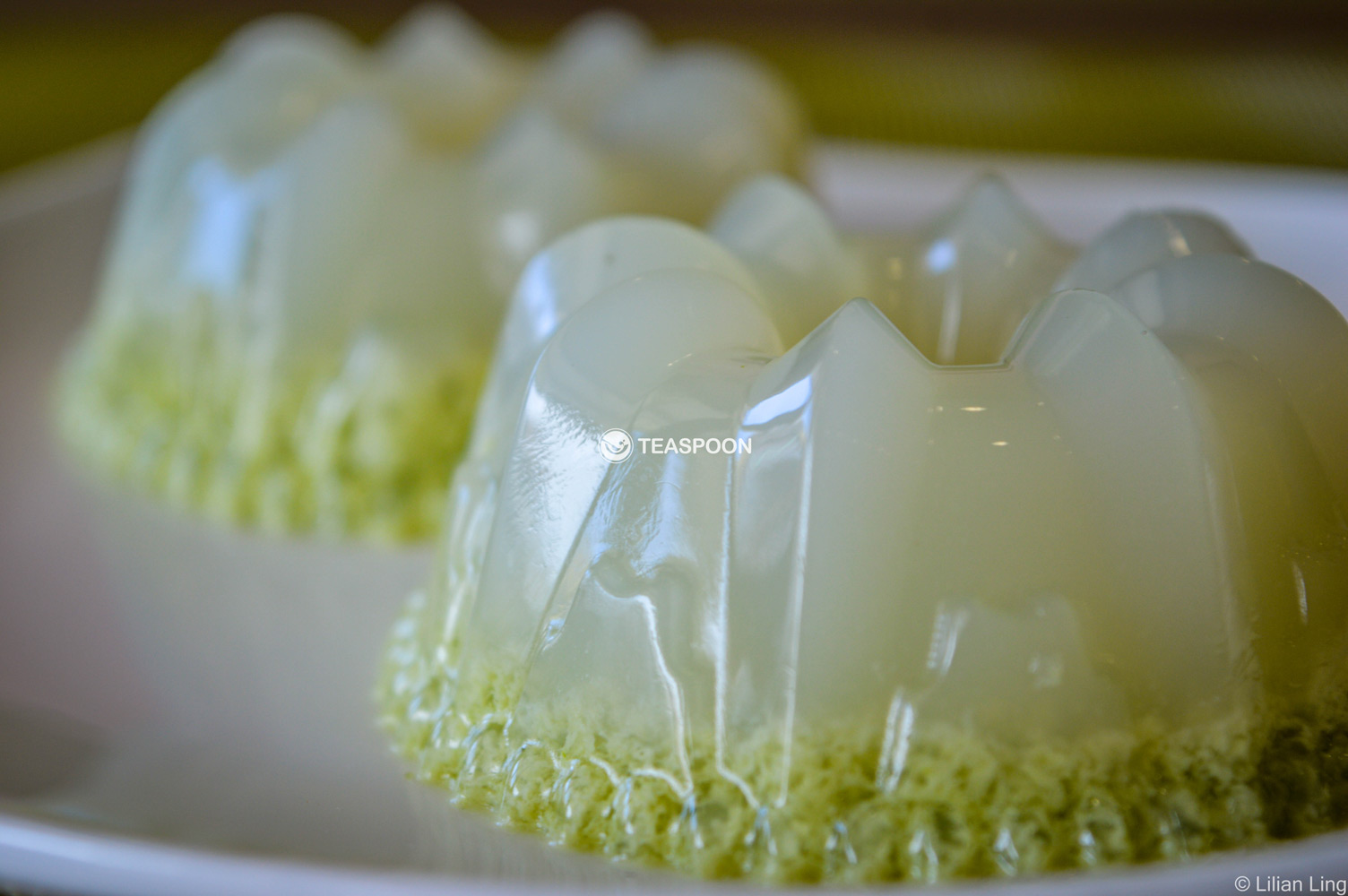 agar agar (2)
