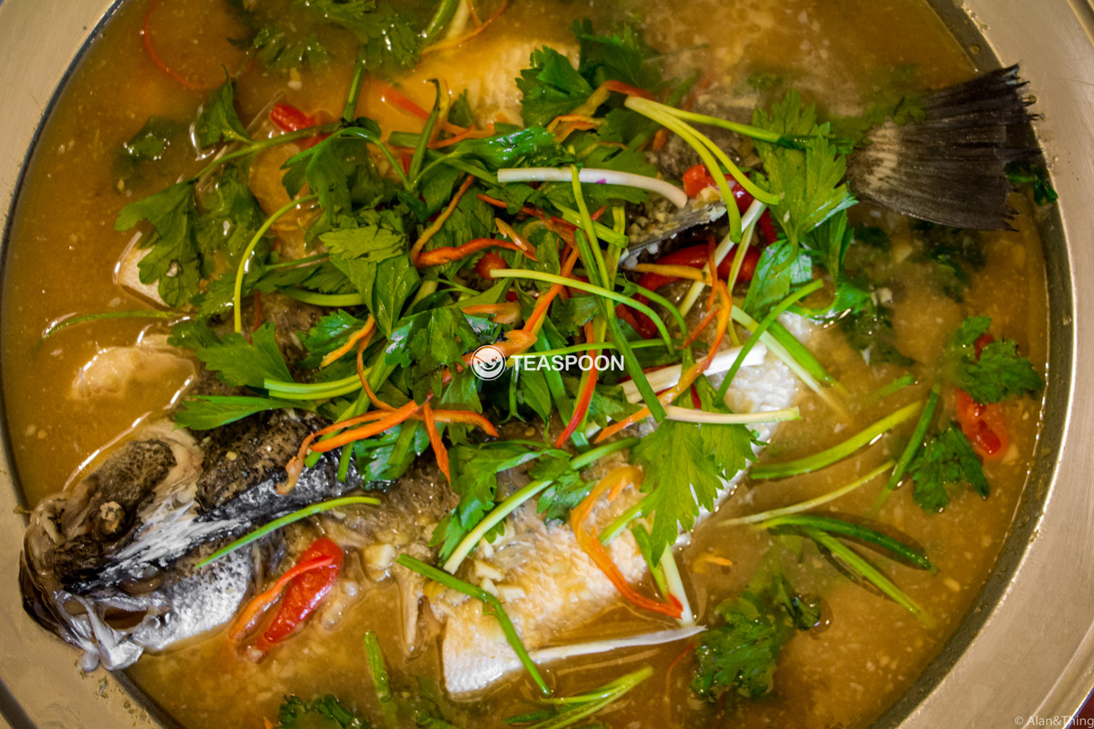 fish (5)