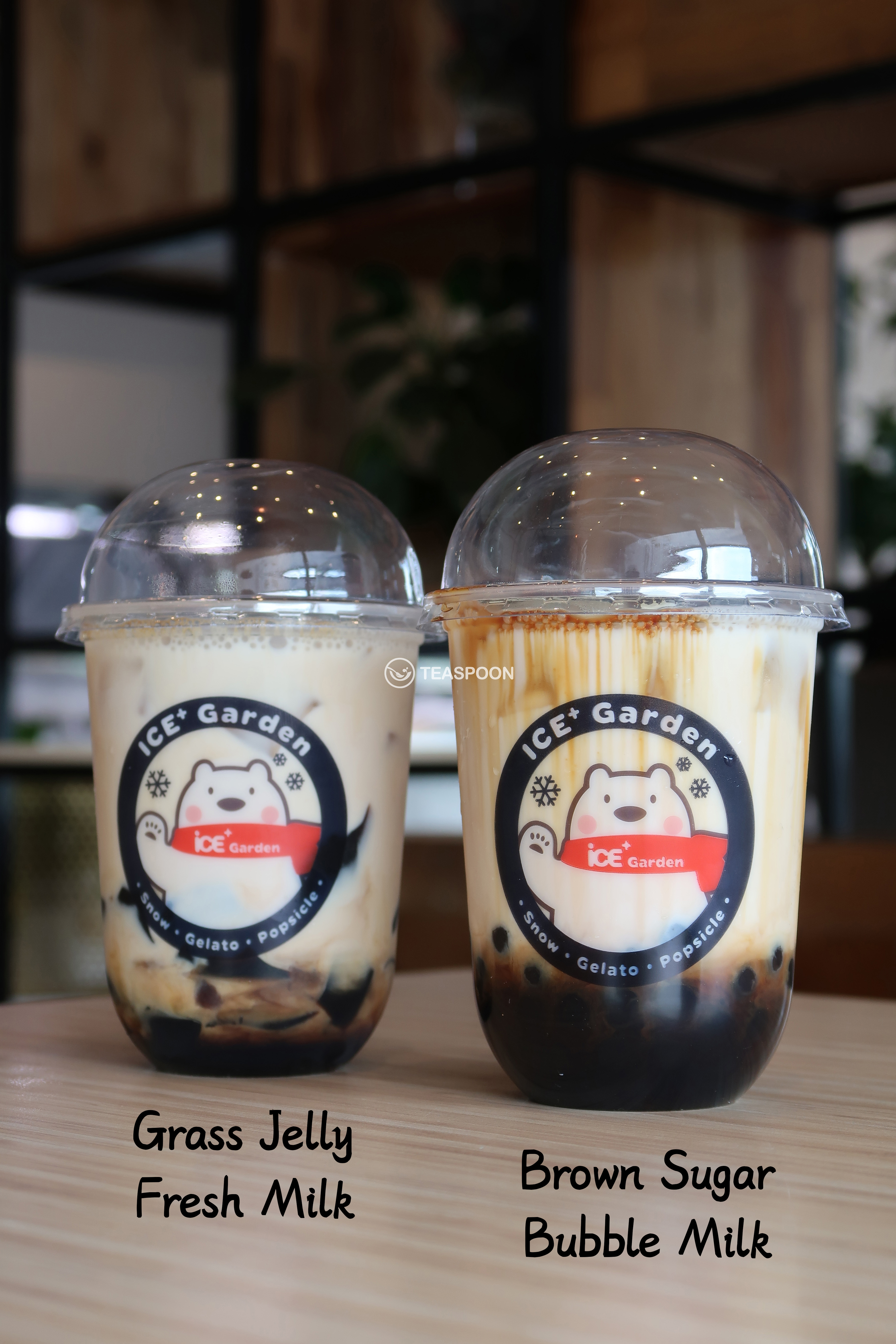 Ice Plus Garden (5)