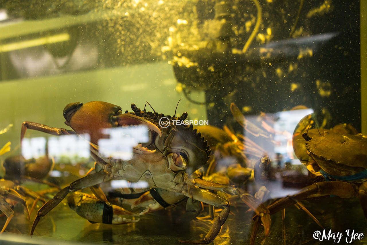 Creatures (3)