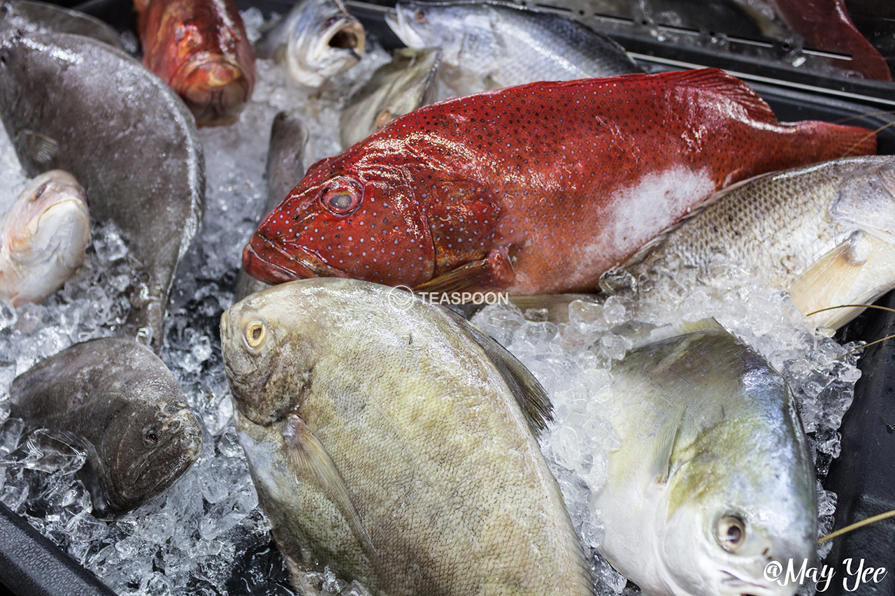 Seafood fresh (3)