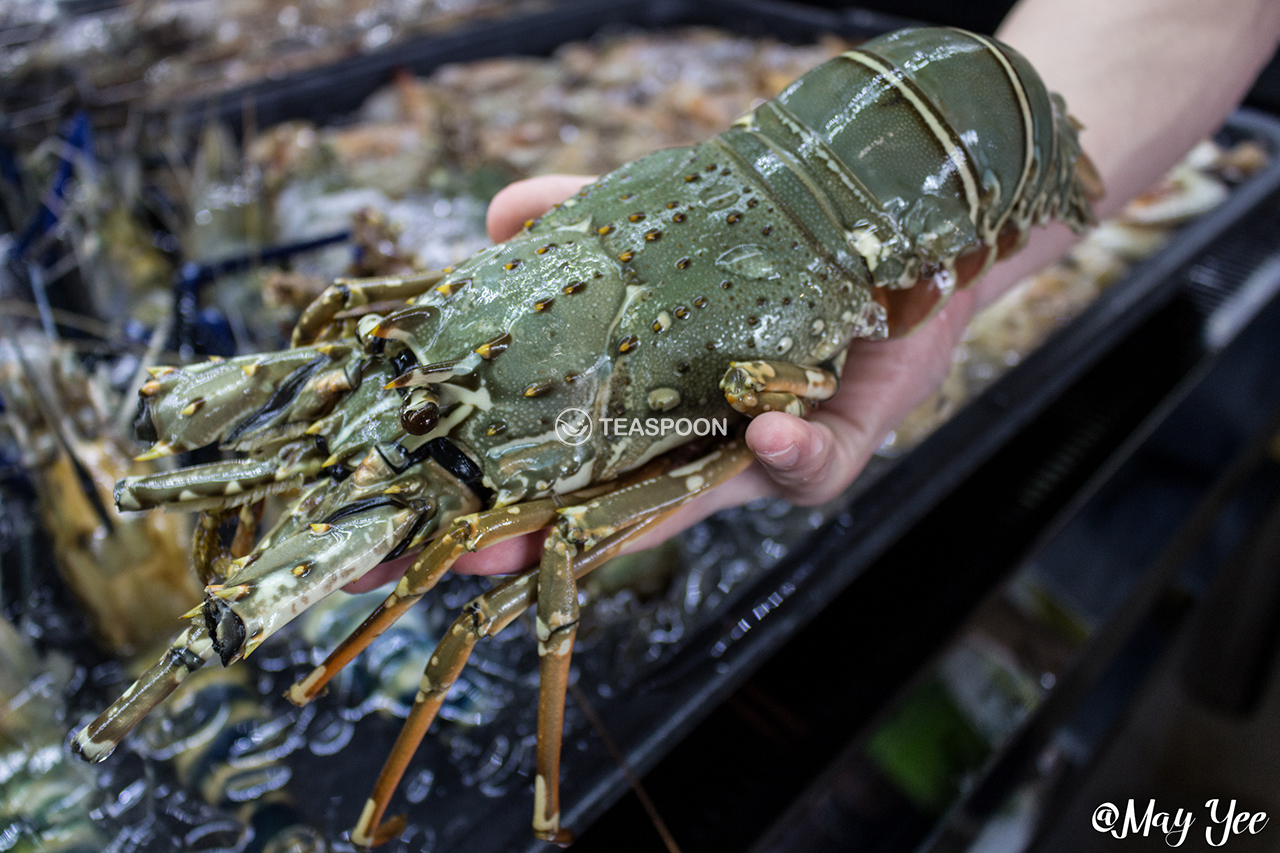 Seafood fresh (4)