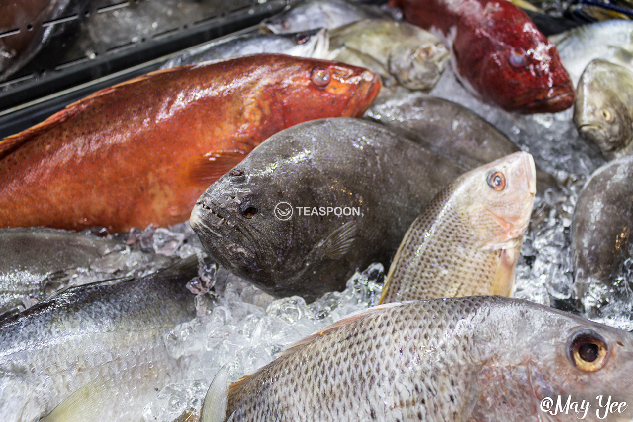 Seafood fresh (7)