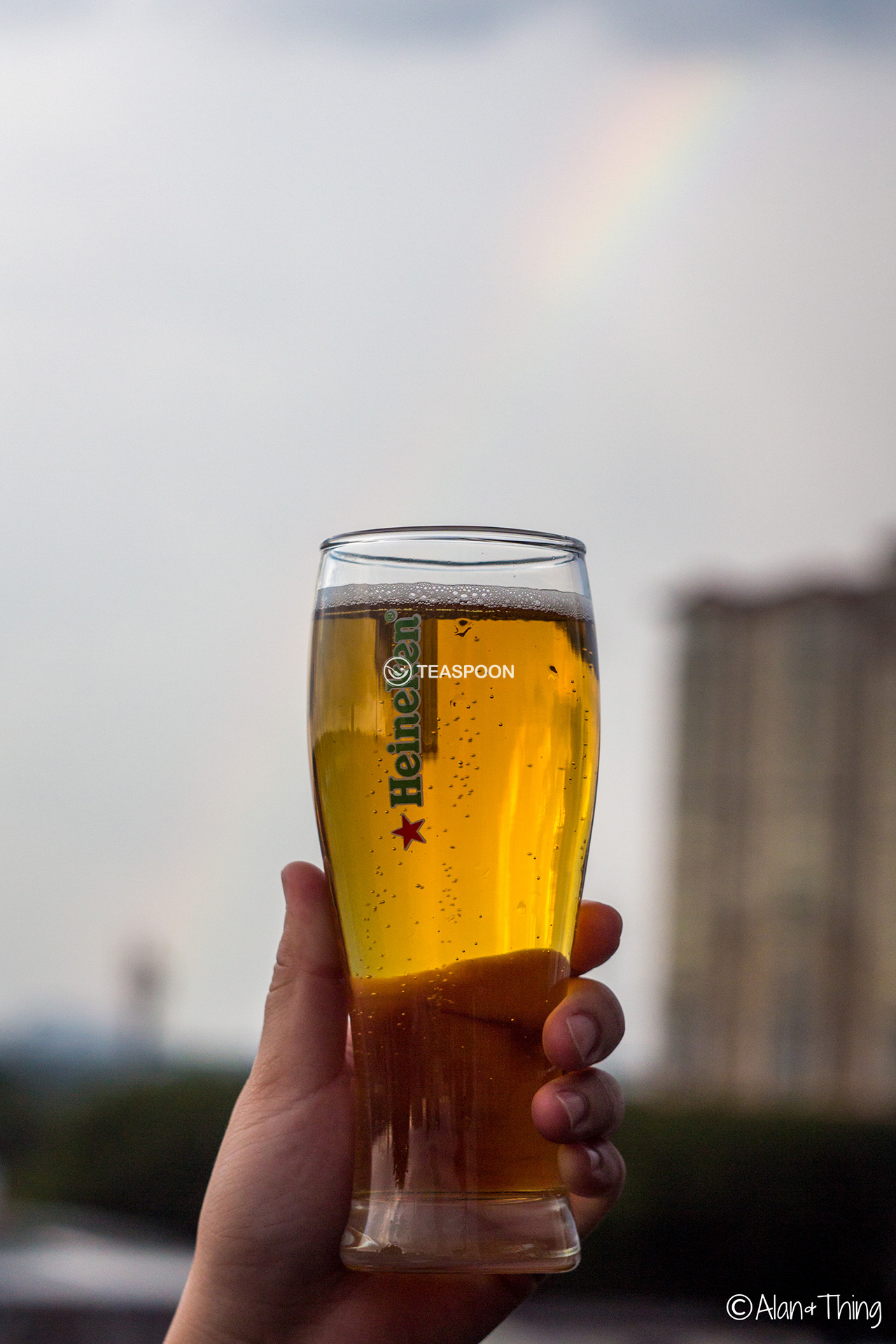 Beer (41)