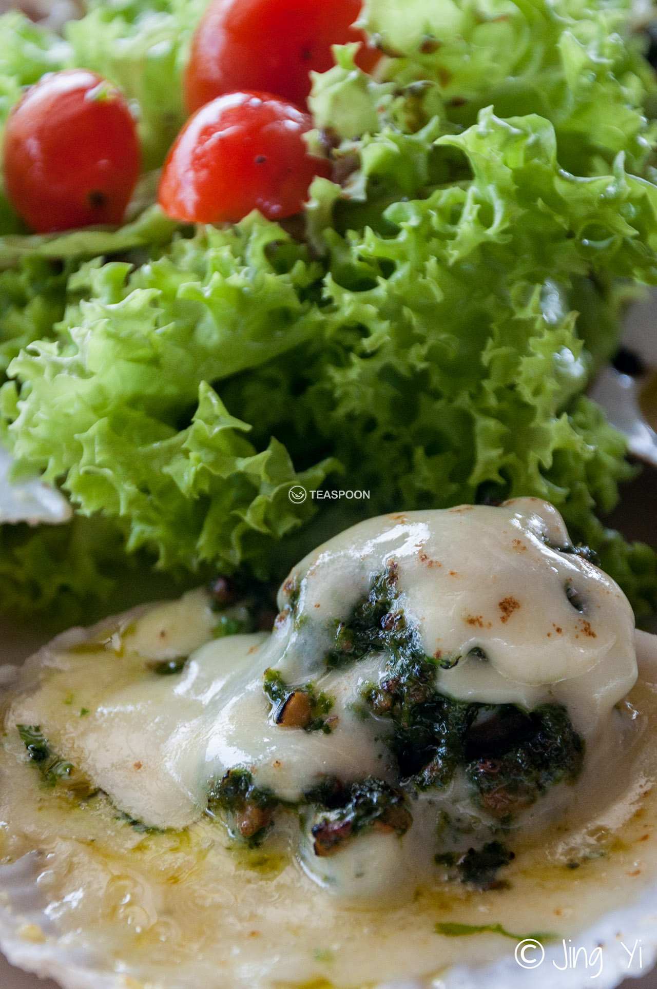 Scallops (3) copy