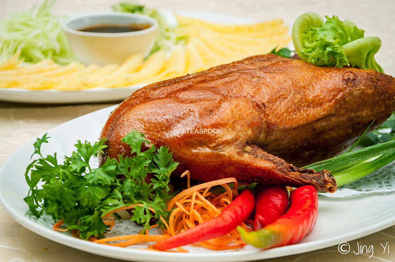 Duck (10)