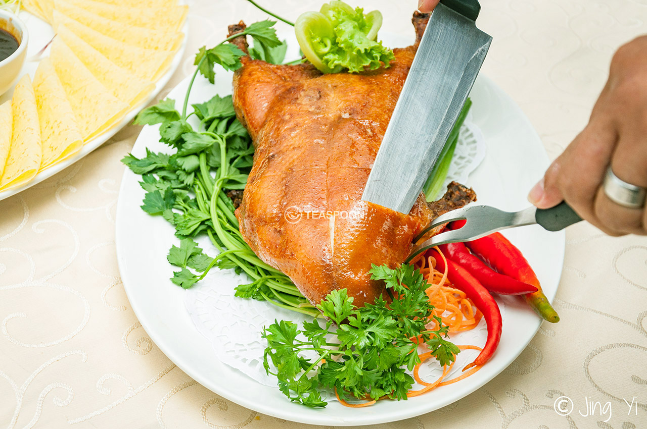 Duck (13)