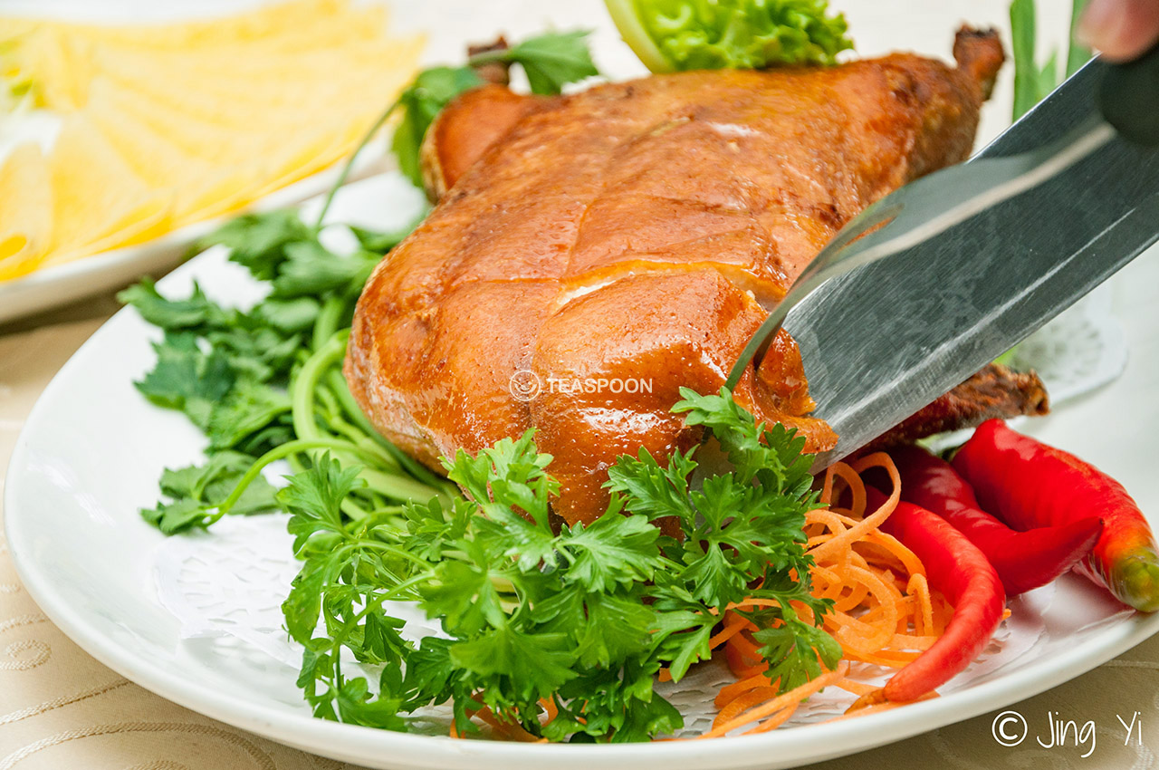 Duck (15)