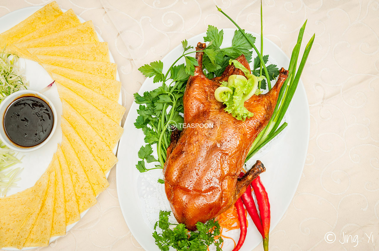 Duck (5)