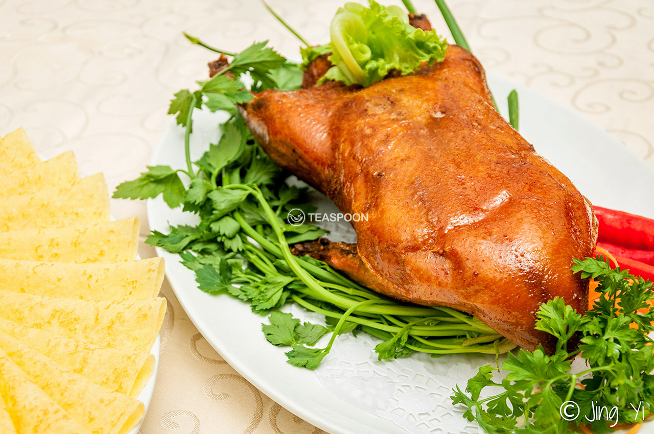 Duck (6)