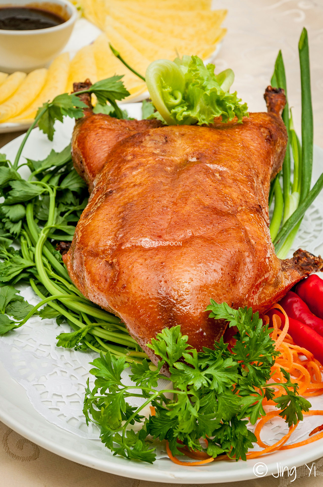 Duck (9)