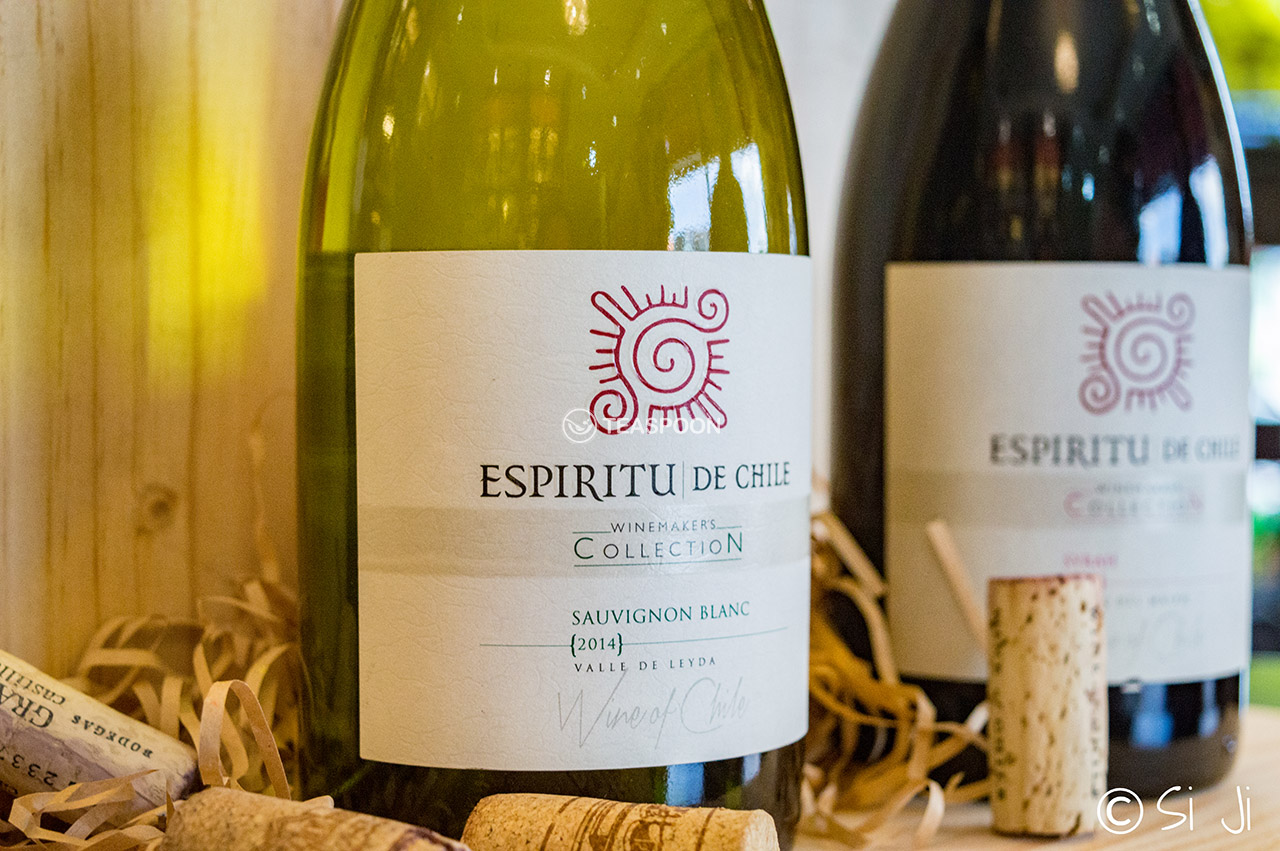 Espiritu chile collection (2) copy