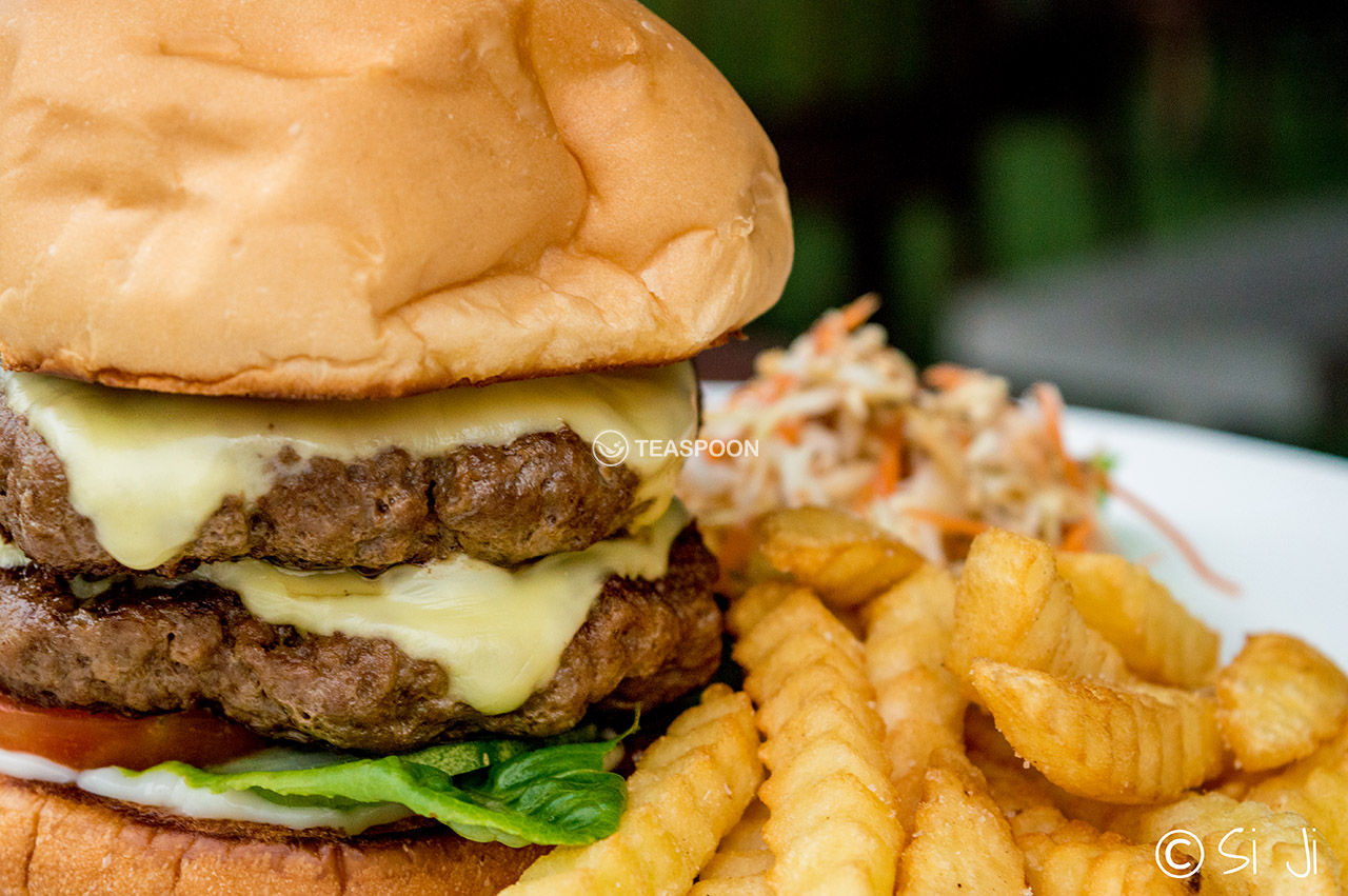 Burger (10)