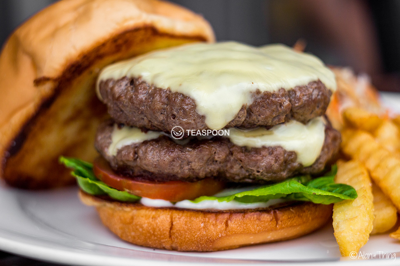 Burger (23)