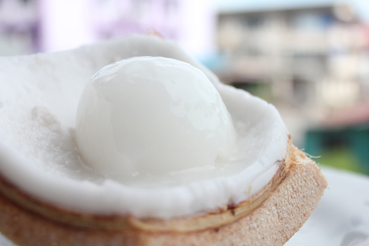 Coconut-Pudding-2