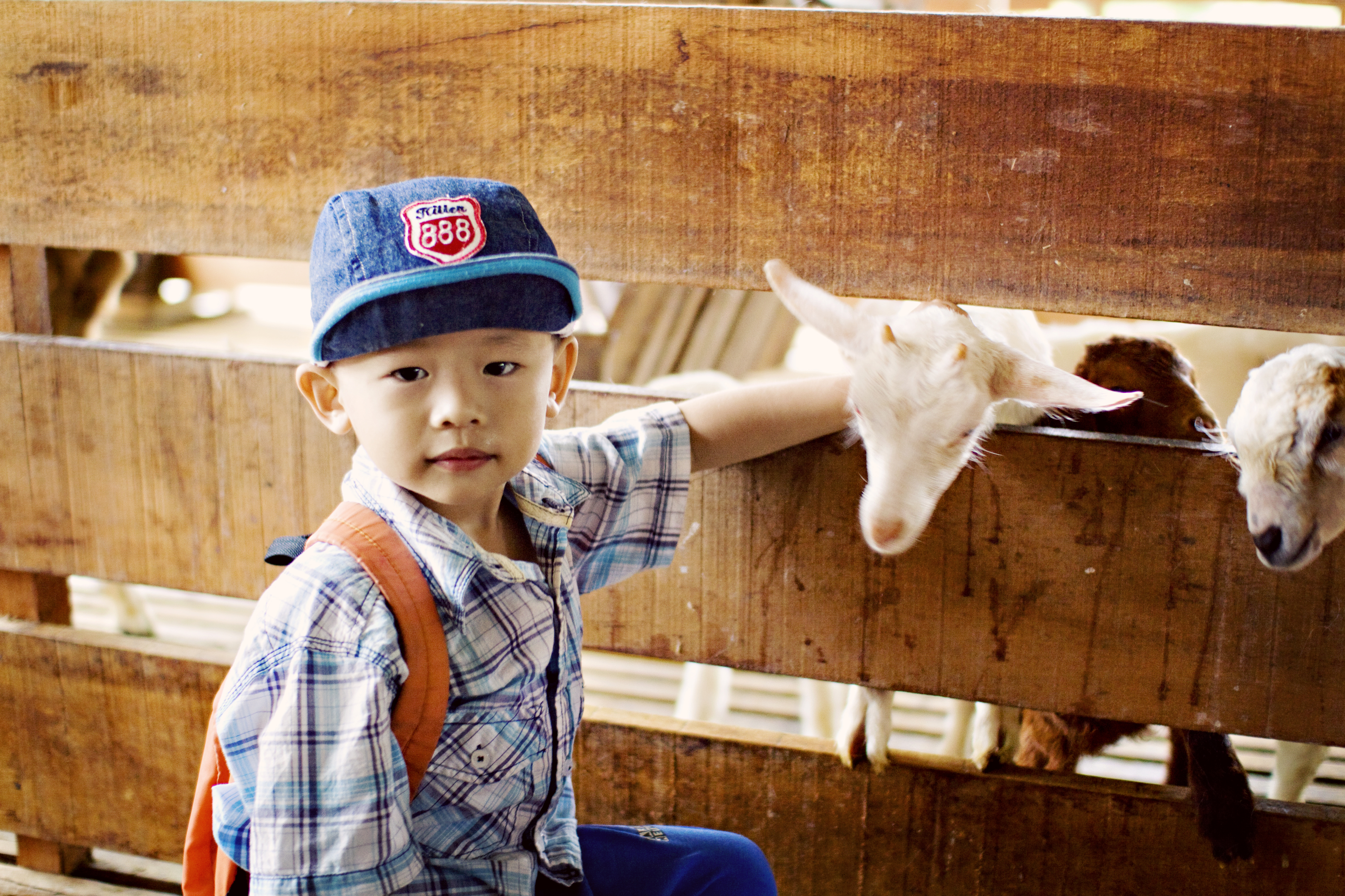 Farms shots (2)