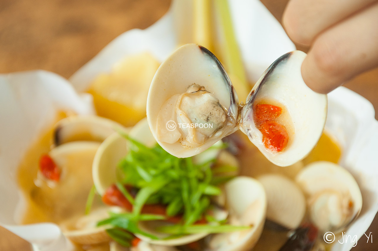Soup clam (10)