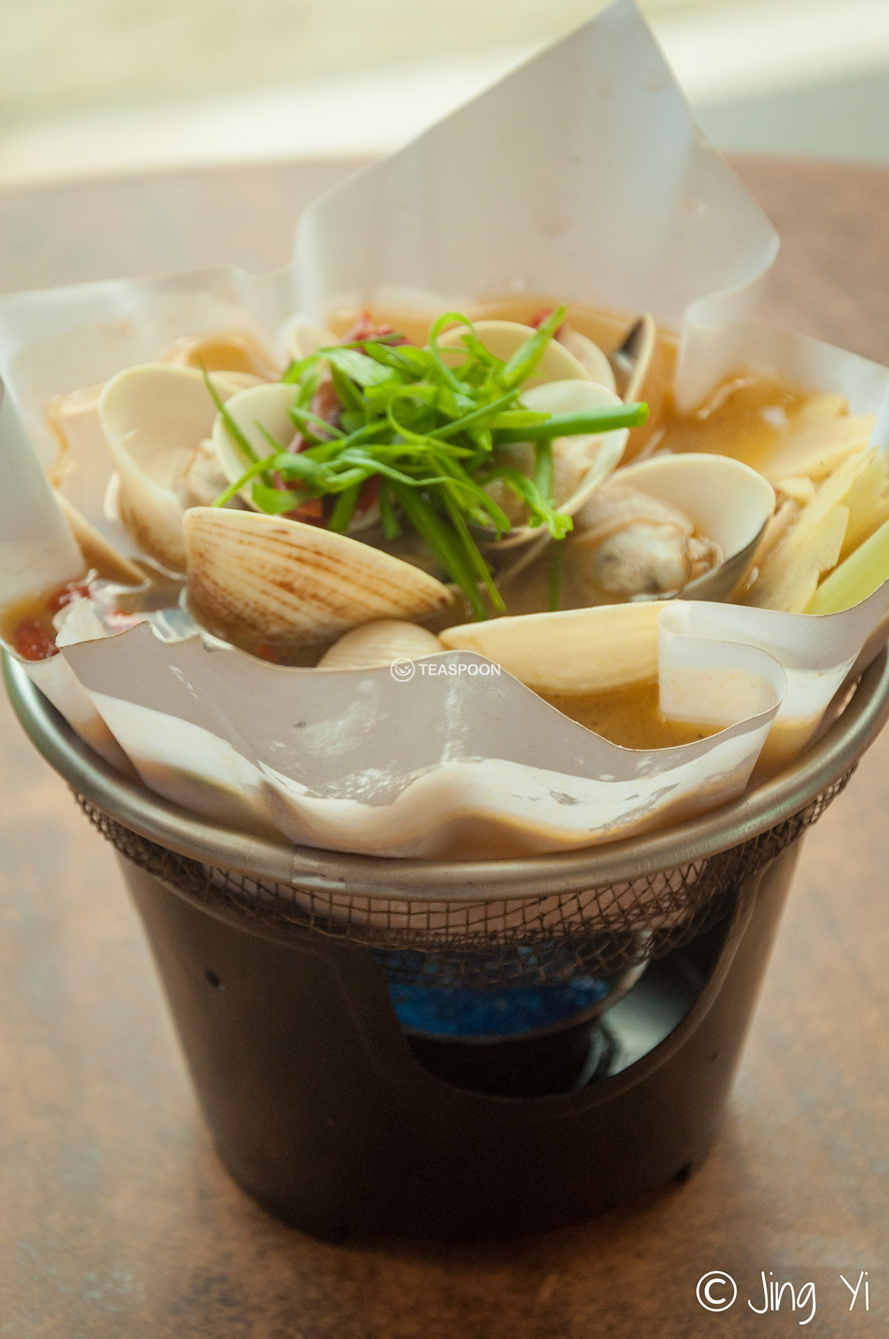 Soup clam (6)