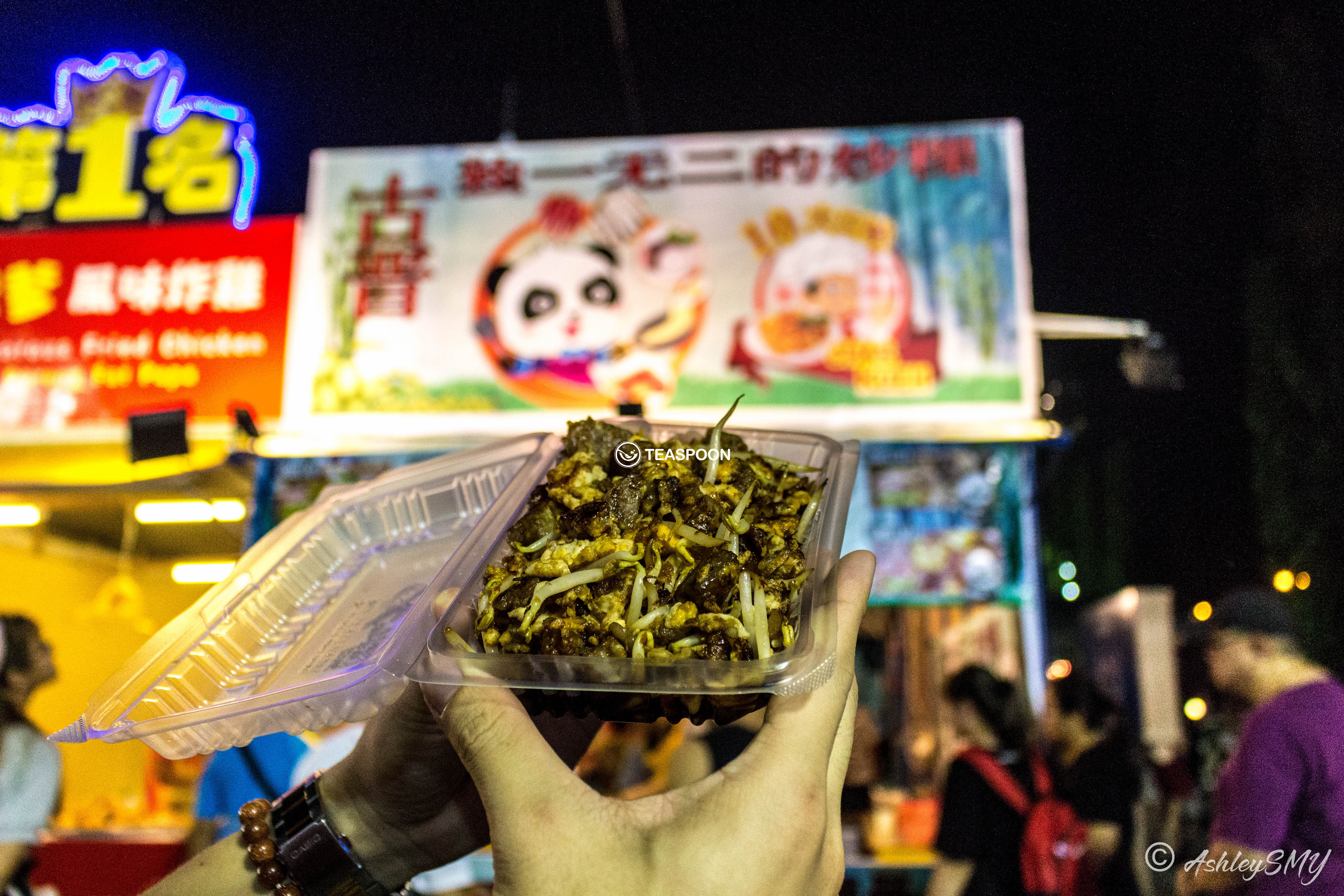 _MG_3181 copy