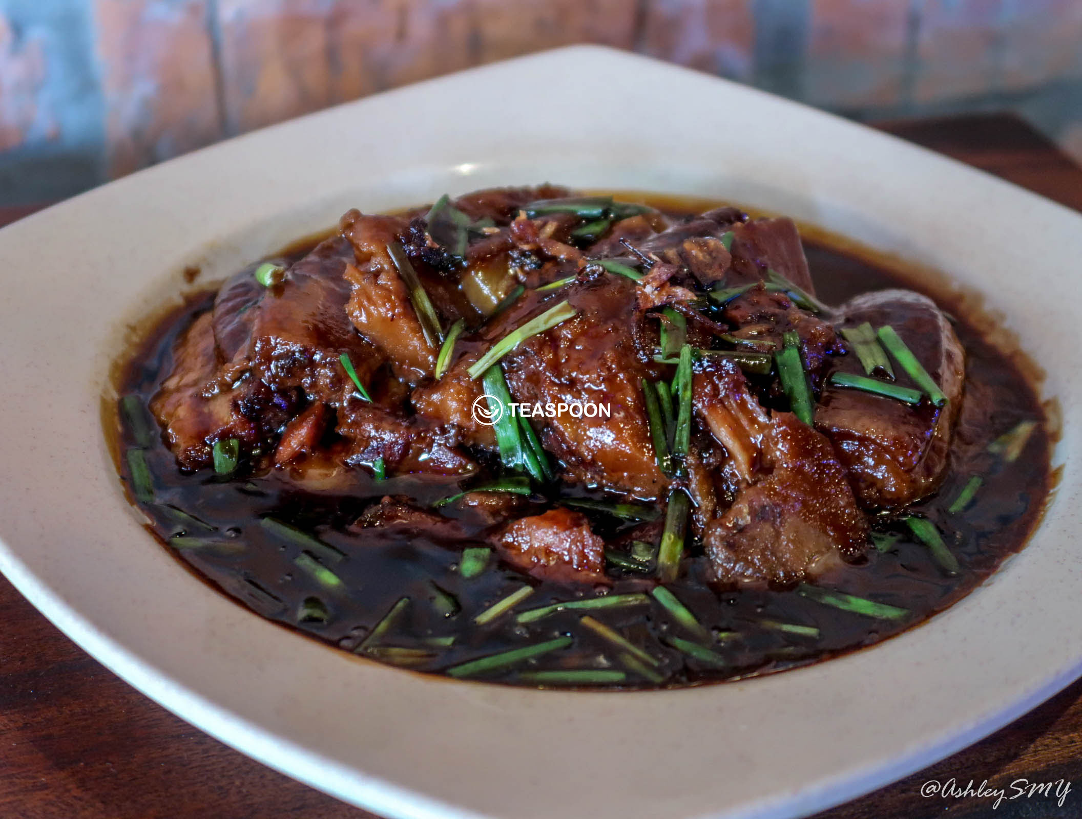Bikalan Special Stewed Pork copy