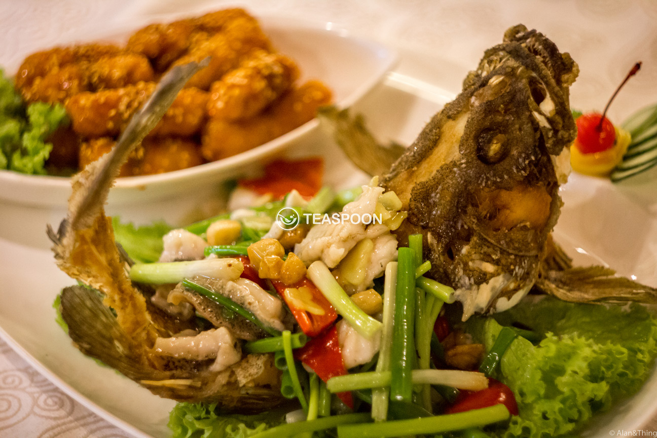 fish-dish-(5)