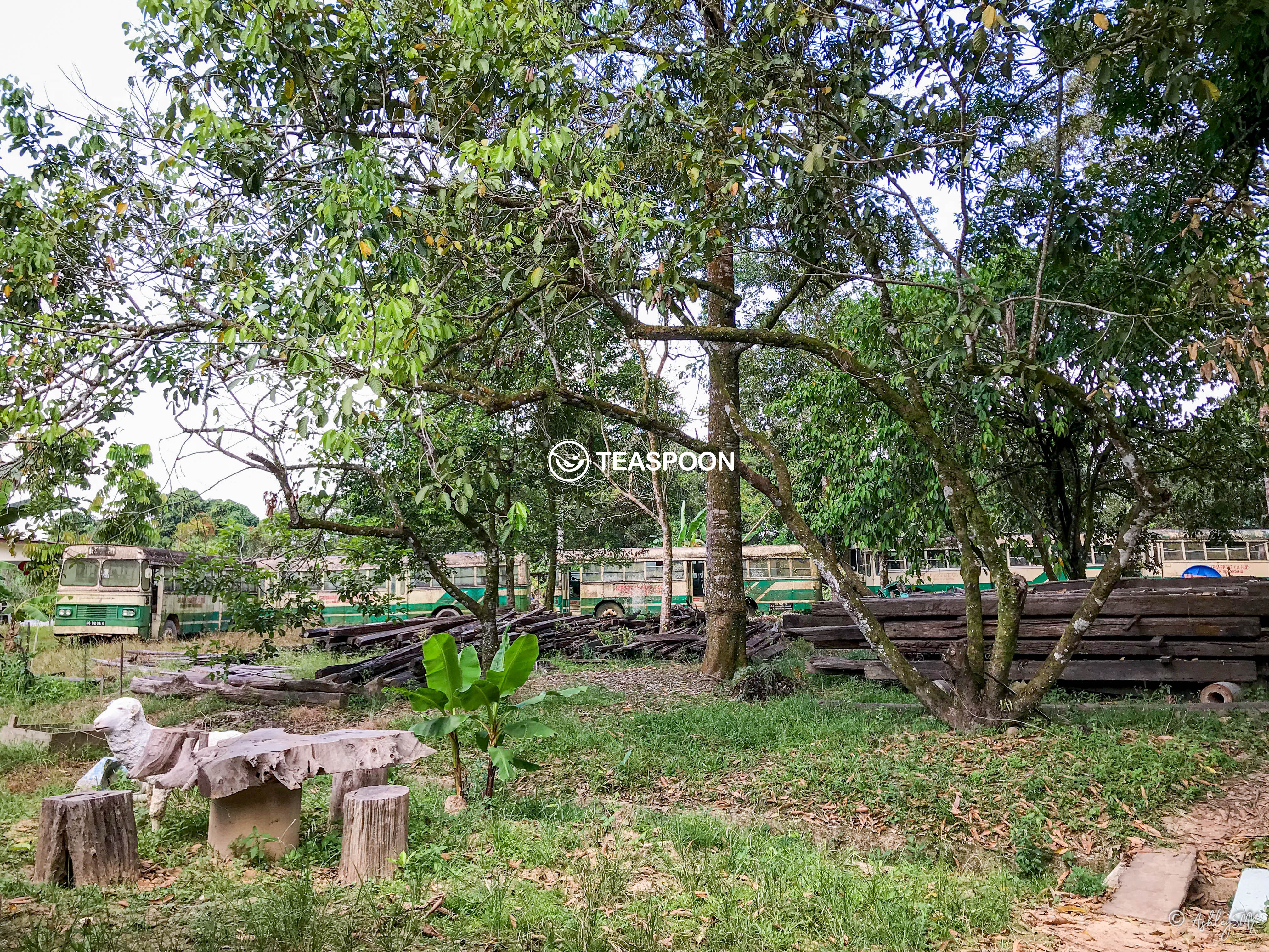 IMG_9815 copy