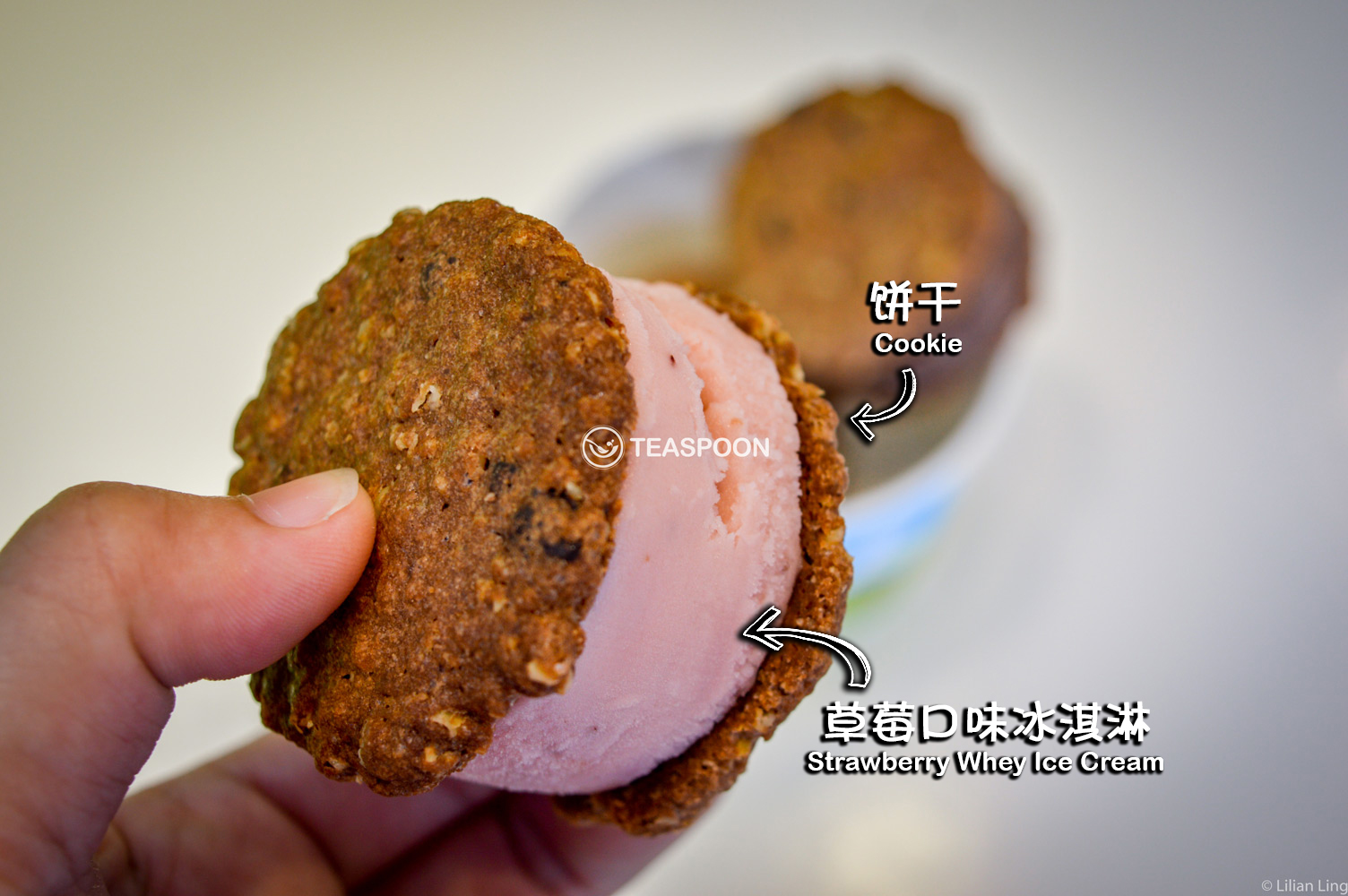 cookies-ice-cream-(2)