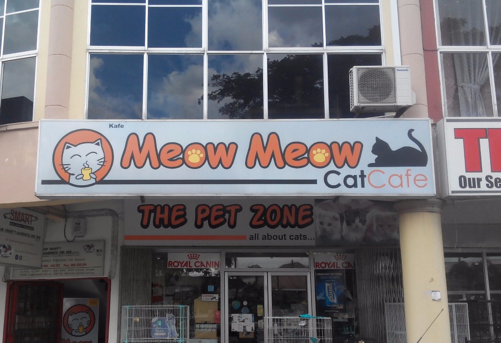  Meow  Meow  Cat  Cafe  Teaspoon